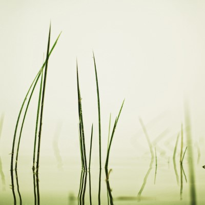 1920 x 1080 HD Wallpapers 1149